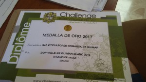 brumas ayoza blanco medalla de oro 2017